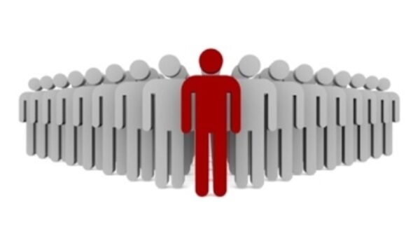 Introducing... our Team!